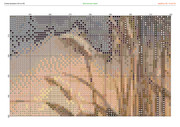 2883549-crosti-ru-color-26