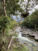 IMG-6599