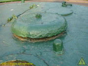DSC03167