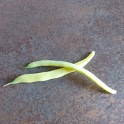 [Bild: 20210712-125451.jpg]