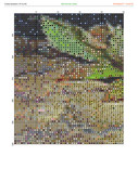 1192789-crosti-ru-color-18