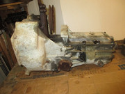 IMG-6275.jpg
