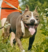 Screenshot_20230624_175157_Gallery