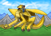 sunny_riding_sunny