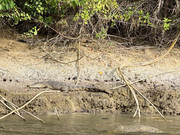 IMG-6657