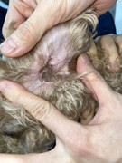 23207 177220 S 3473412 0