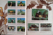 IMG-0010