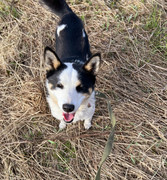 IMG_20230417_005413_290