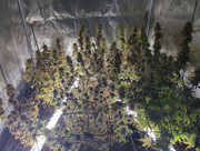 IMG_20250512_154608_389