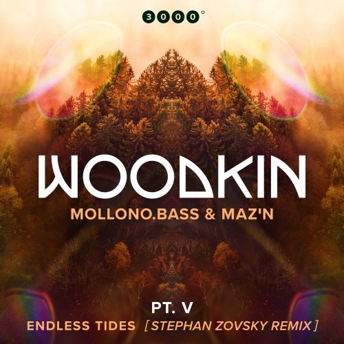 00-woodkin-endless-tides-stephan-zovsky-