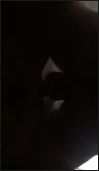 [Image: 1Face020209223104.jpg]
