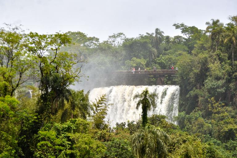В джазе только девушки или аргентинско-бразильский калейдоскоп В джазе только девушки или аргентинско-бразильский калейдоскоп