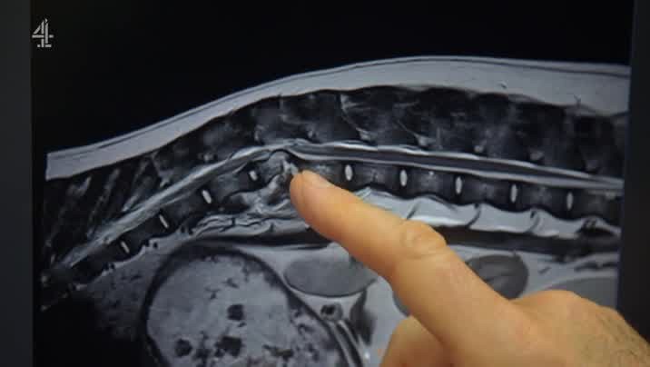 [Image: 9oky8atqm9x4.jpg]