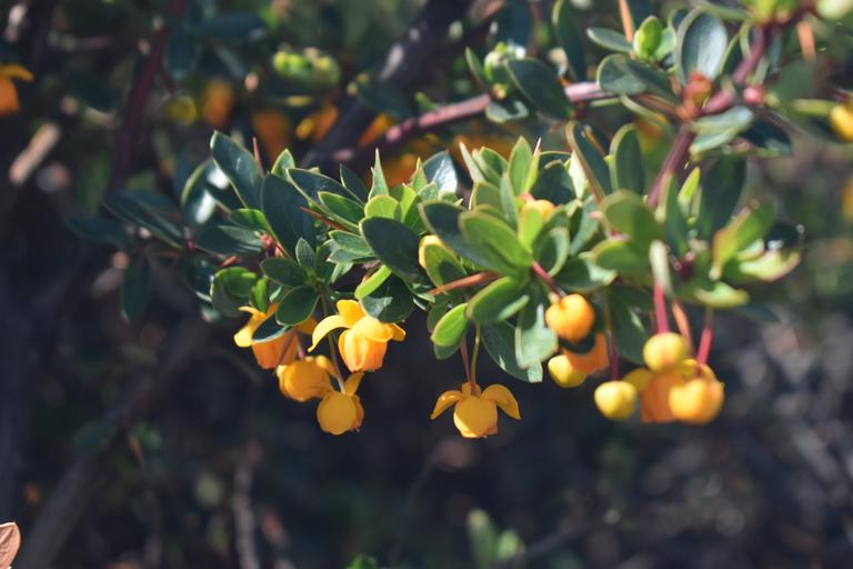 В джазе только девушки или аргентинско-бразильский калейдоскоп В джазе только девушки или аргентинско-бразильский калейдоскоп