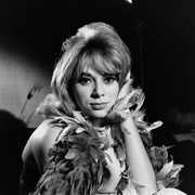 mireille-darc-c05