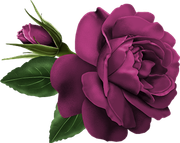 TADD-elements-Last-Dance-In-Paris-76