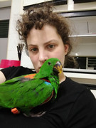 Full picture with harness