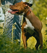 Screenshot_20230627_234945_Gallery