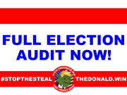FULL ELECTION AUDIT NOW!