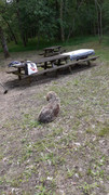 IMG-20210527-WA0003.jpg