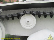 IMG-7801