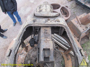 IMG-5231