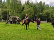 IMG-20250611-WA0017