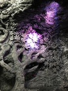 IMG-8137