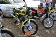 IMG-6737