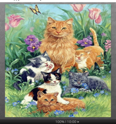 Screen Shot 2021-05-18 at 8.52.45 PM