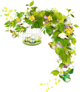 0-1c1a40-b3ea69cc-orig