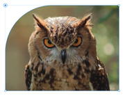 [Image: Capture-d-e-cran-2022-02-17-a-16-19-31.png]