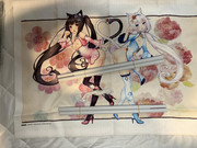 IMG-6591