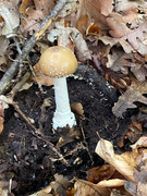 AE00659B-0B9A-4CEF-93B7-A18B46820417