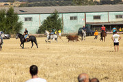 IMG-0426