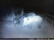 BB5C0553-70E8-4E84-8DA2-18E6CC49FFFF