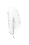 Winter-White-Elements-54