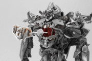 MPM-MEGATRON-005