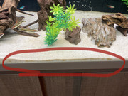 567D7AE2-58DD-4541-801A-0D698FDBEED0