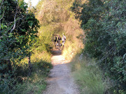 ASNOBIKE - CAMINO DEL CID .... LA DEFENSA DEL SUR ASNOBIKE-CAMINO-DEL-CID-74