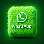 whatsapp bulk sender