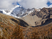 PA293110