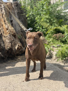 IMG_20230706_152131_311