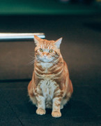 2021-11-27 01.17.16 2716102208255805593_472215015