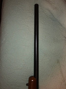 IMG-0519