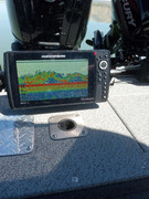 [Image: willard-shad-8-12-25.jpg]