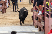 IMG-0138