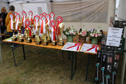 IMG-7284-wynik