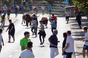 IMG-0485