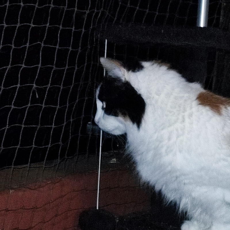 WhatsApp Bild 2025-10-20 um 10.59.01_f9e868f9